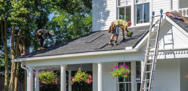 Best Roof Gutter Cleaning  in Arthurtown, SC